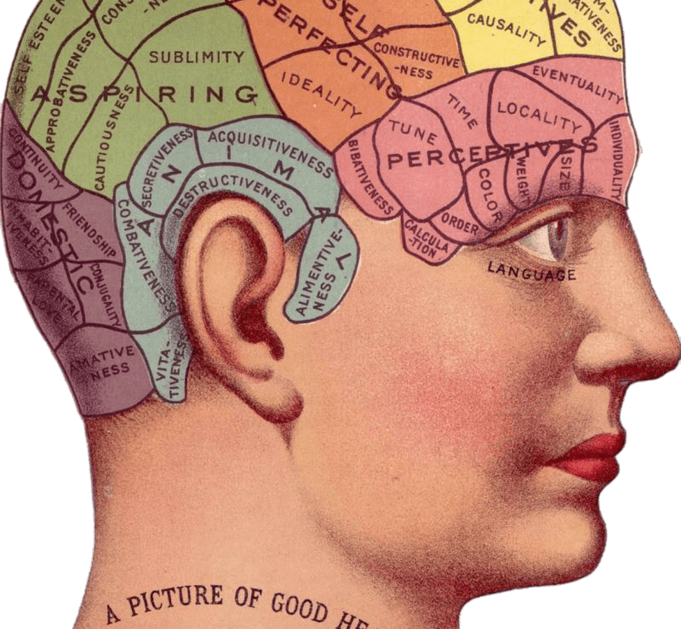 Entrepreneurial Mindset Strategy Vintage Mind Image
